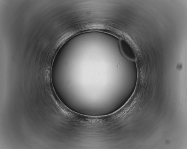 X0000100211225200806131245