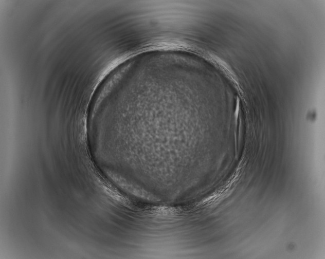 X0000100211226200806131245