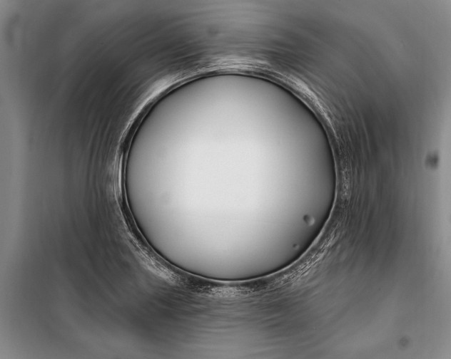 X0000100211227200806131245