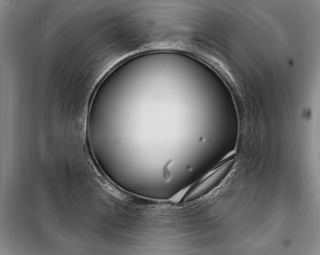 X0000100211228200806131245