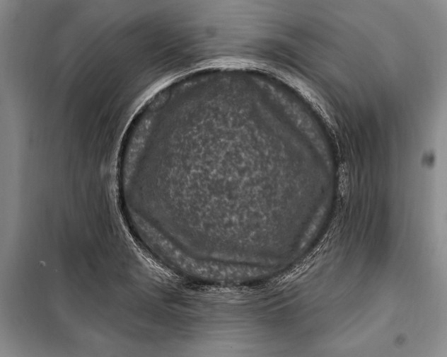 X0000100211229200806131245