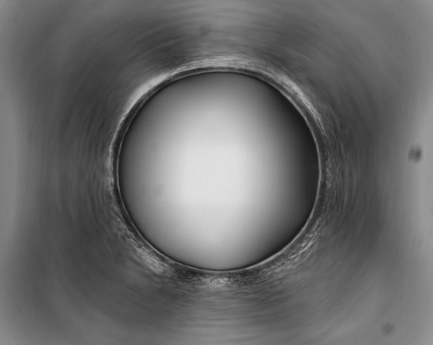 X0000100211230200806131245