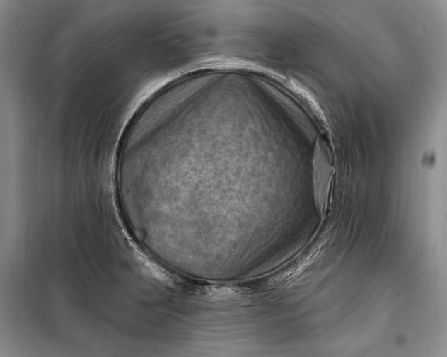 X0000100211231200806131245