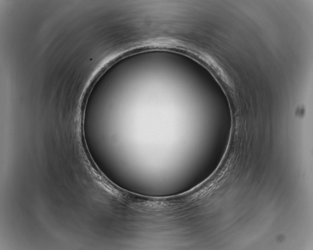 X0000100211232200806131245