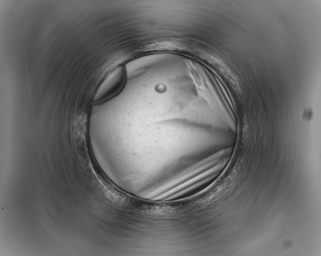 X0000100211233200806131245