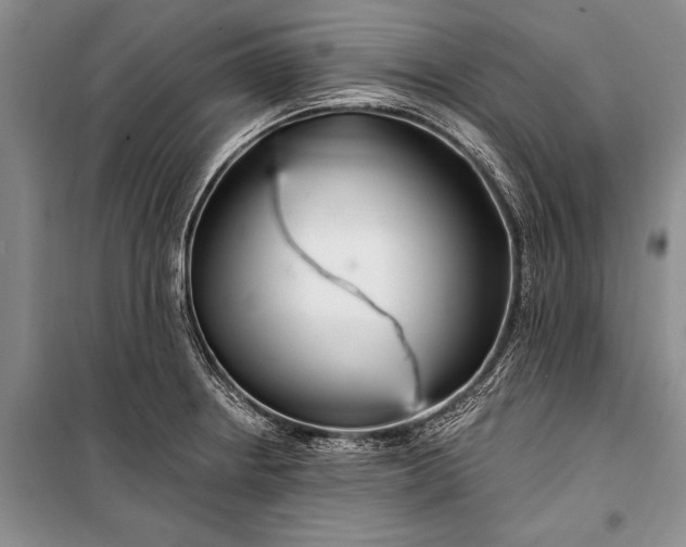 X0000100211234200806131245