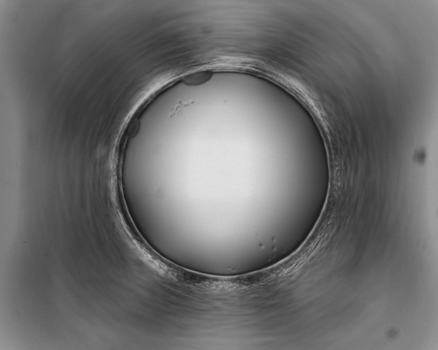 X0000100211235200806131245