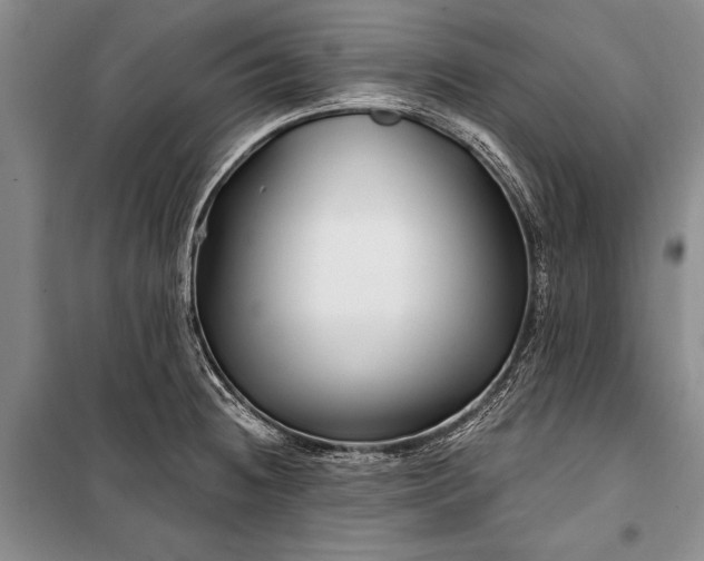 X0000100211236200806131245