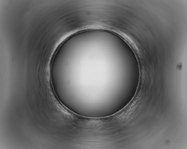 X0000100211238200806131245