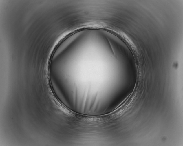 X0000100211240200806131245