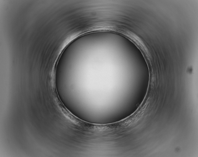 X0000100211242200806131245