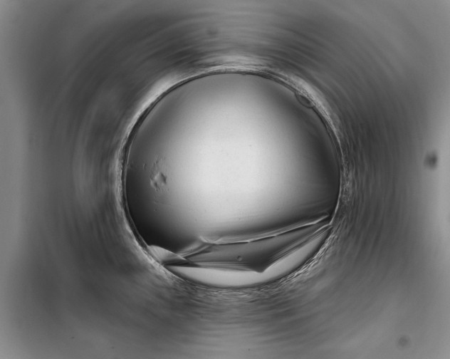 X0000100211243200806131245