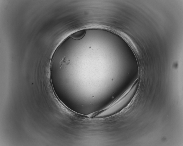 X0000100211244200806131245