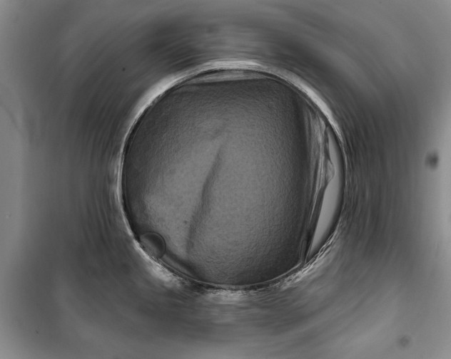 X0000100211245200806131245