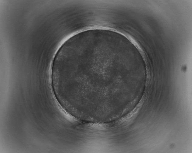 X0000100211246200806131245