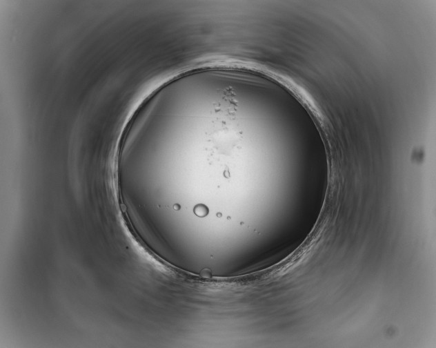 X0000100211247200806131245