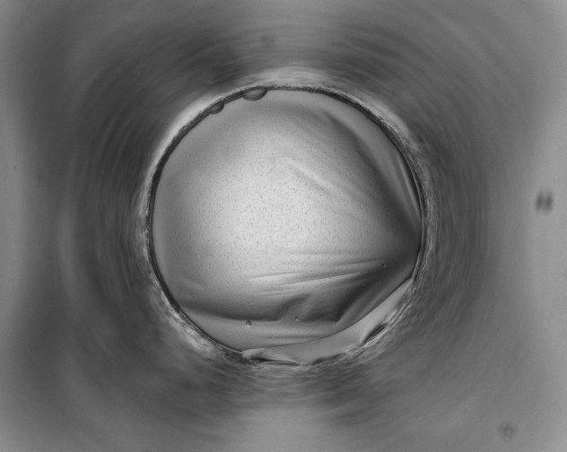 X0000100211248200806131245