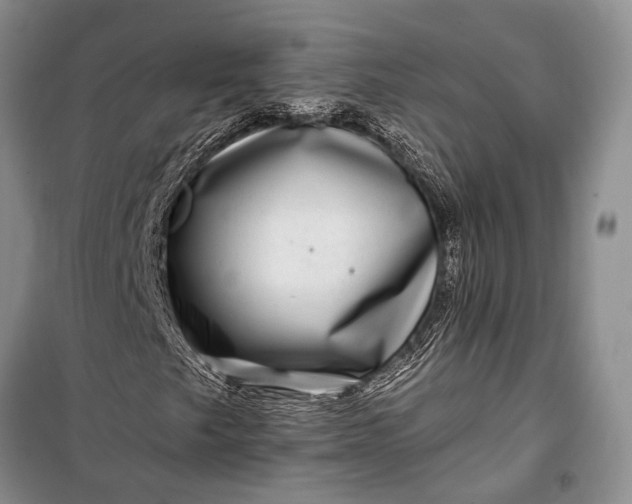 X0000100211249200806131244