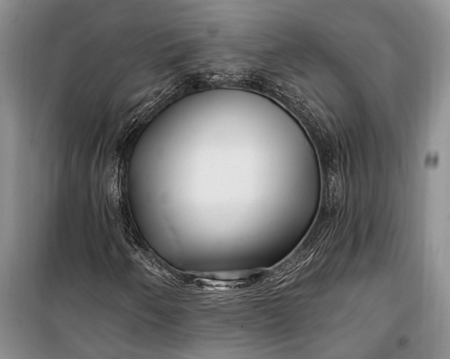 X0000100211250200806131244