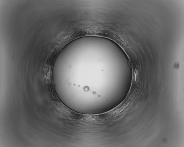 X0000100211251200806131244