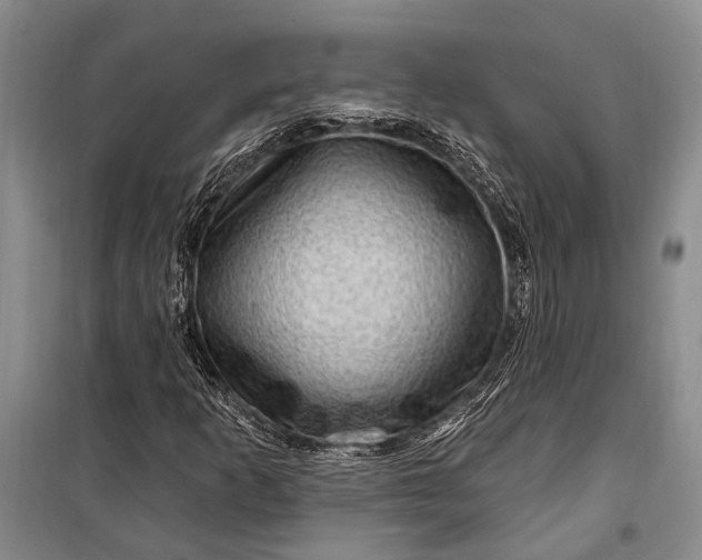 X0000100211253200806131244