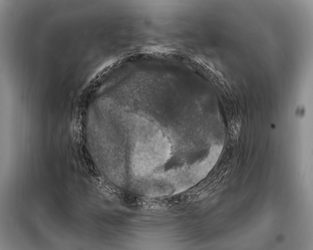 X0000100211254200806131244