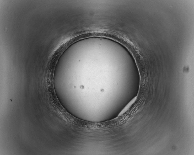 X0000100211255200806131244