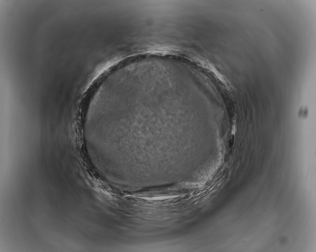 X0000100211256200806131244