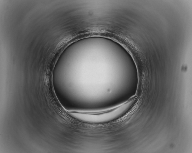 X0000100211257200806131244