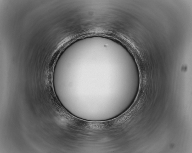 X0000100211258200806131244