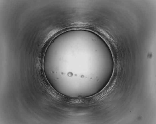 X0000100211259200806131244