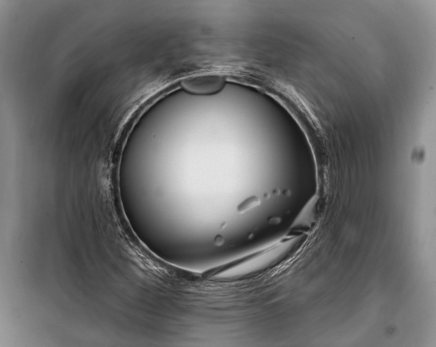 X0000100211260200806131244