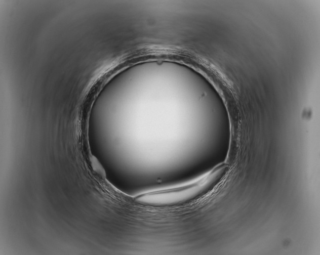 X0000100211261200806131244