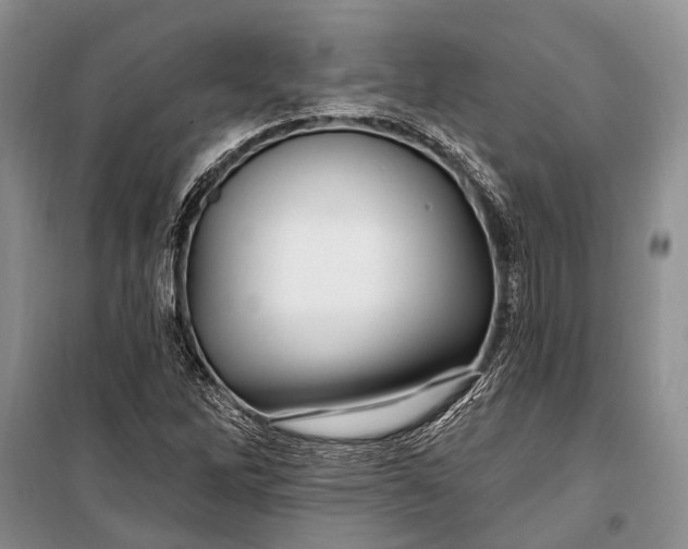 X0000100211262200806131244