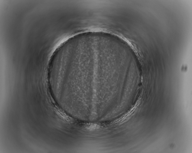 X0000100211263200806131244