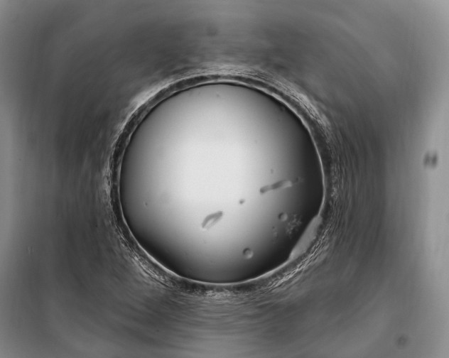 X0000100211264200806131244