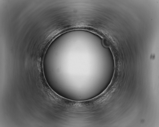 X0000100211265200806131244