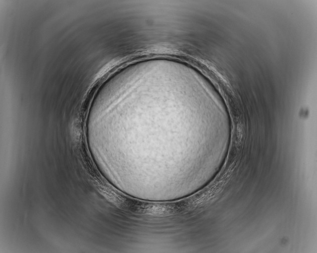 X0000100211266200806131244