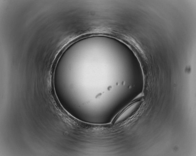 X0000100211268200806131244