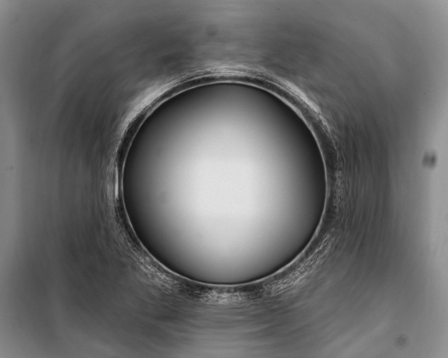 X0000100211269200806131244