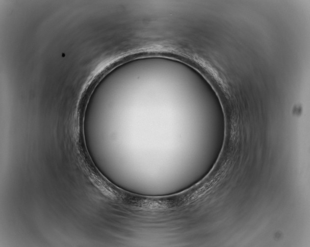 X0000100211270200806131244