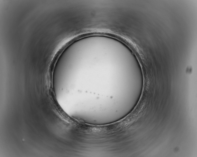 X0000100211271200806131244