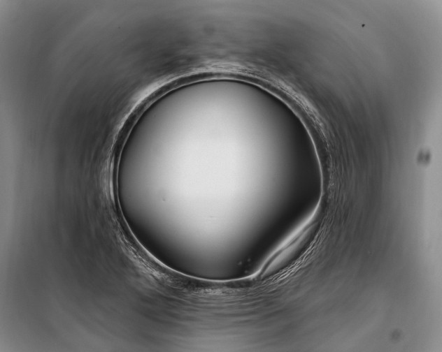 X0000100211272200806131244