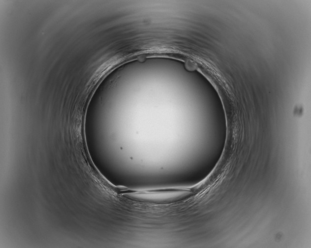 X0000100211273200806131244