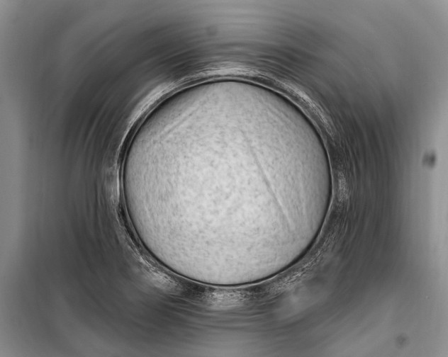 X0000100211274200806131244