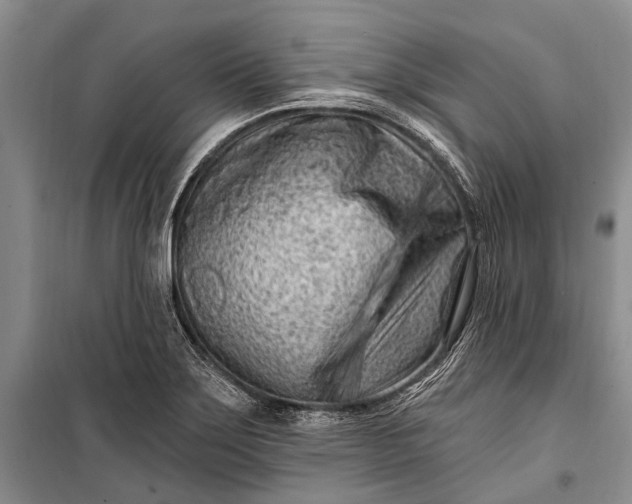 X0000100211275200806131244