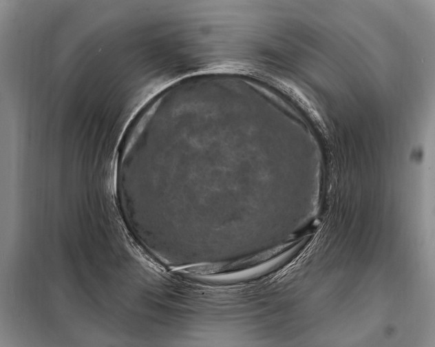 X0000100211276200806131244