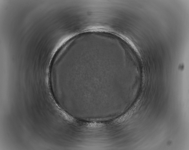 X0000100211277200806131244