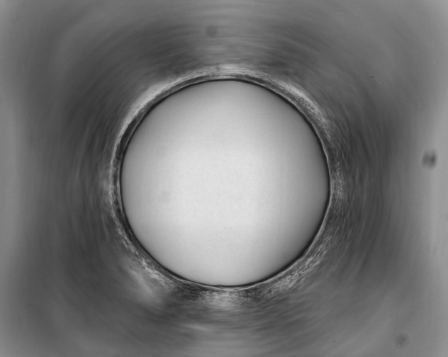 X0000100211278200806131244