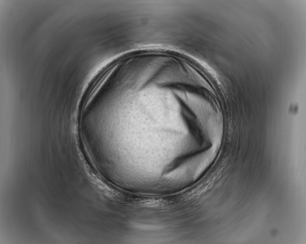 X0000100211279200806131244